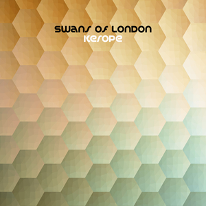 美国18网高清免费看
