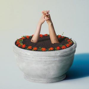 美国18网高清免费看
