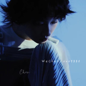 美国18网高清免费看
